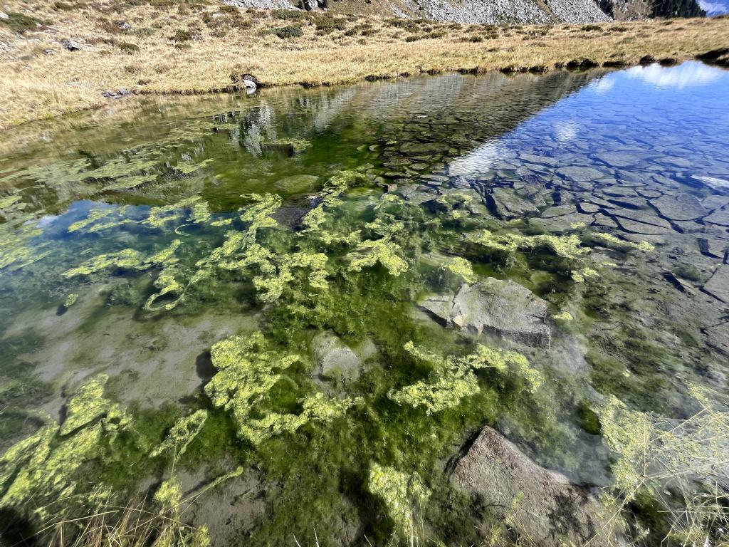 Laghi.......del TRENTINO